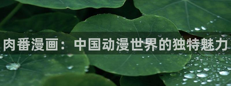 汗汗漫画sss.：肉番漫画：中国动漫世界的独特魅力