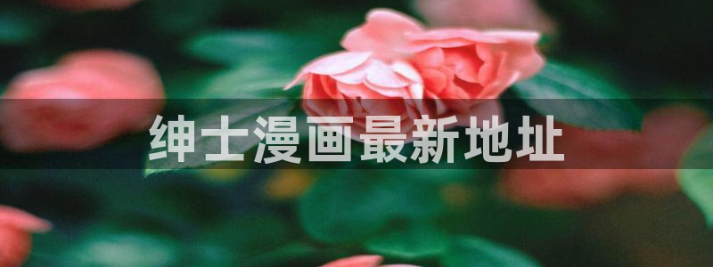 汗汗漫画韩漫：绅士漫画最新地址