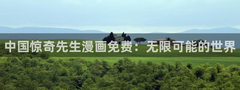 汗汗漫画进入口：中国惊奇先生漫画免费：无限可能的世界