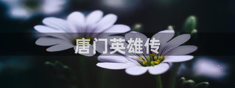 歪歪漫画sss汗汗漫画：唐门英雄传