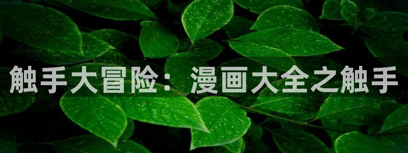 汗汗漫画免费阅读在线：触手大冒险：漫画大全之触手