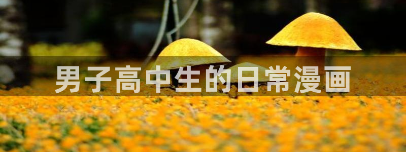 汗汗漫画家教老师：男子高中生的日常漫画