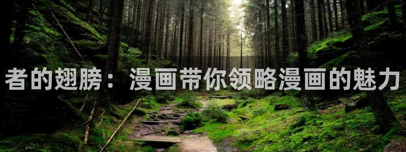 歪歪漫画汗汗漫画韩漫：者的翅膀：漫画带你领略漫画的魅力