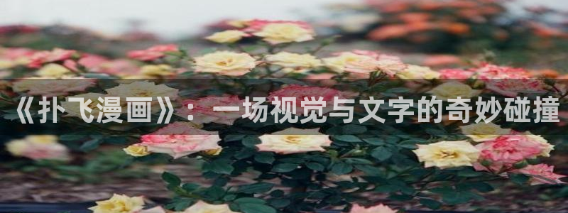 汗汗漫画健身教练：《扑飞漫画》：一场视觉与文字的奇妙碰撞